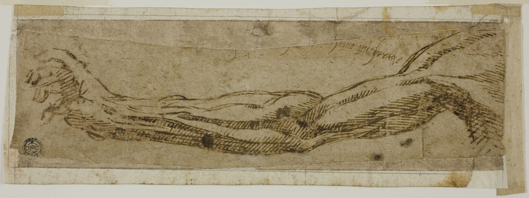 Academic Arm, Extended