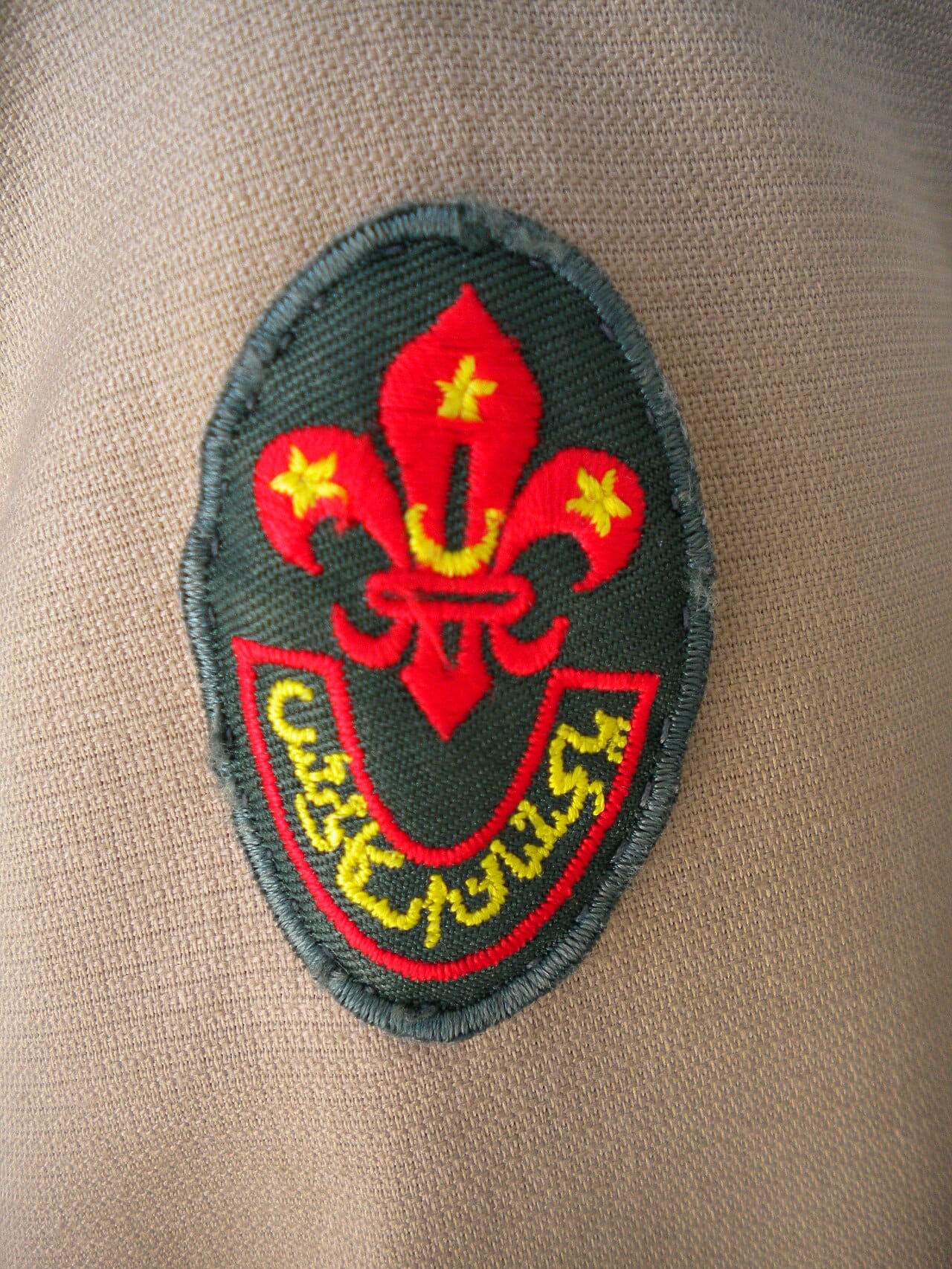 Pakistan Boy Scouts Association emblem on uniform