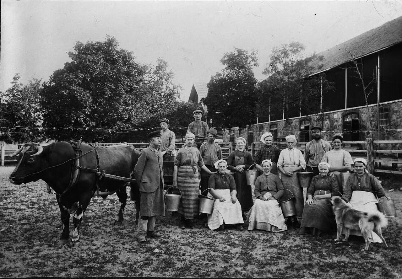 Statare. Mjölkerskor och lagårdskarlar uppställda vid ladugården. Julita gård, Södermanland - Nordiska Museet - NMA.0040766