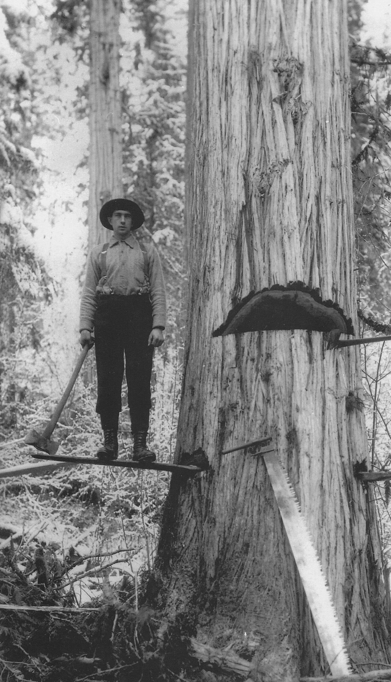 Bob Balmer Falling Upper Adams