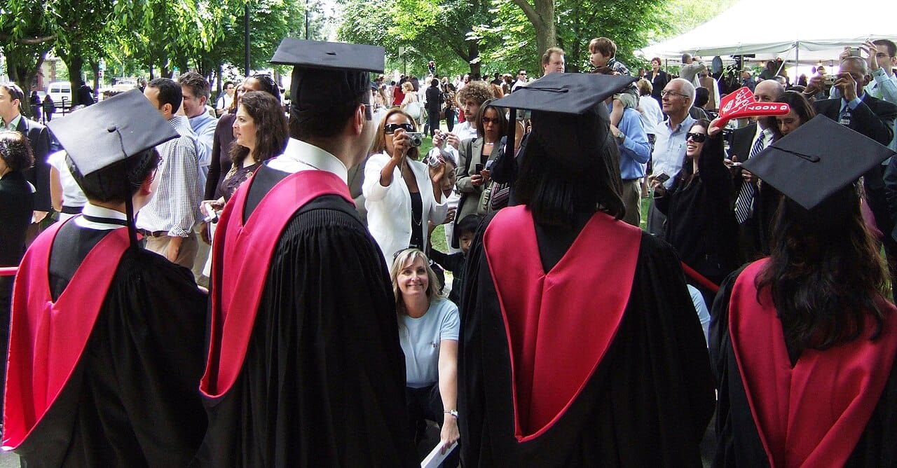 A run of Harvard academic hoods hung side by side, linings outward.