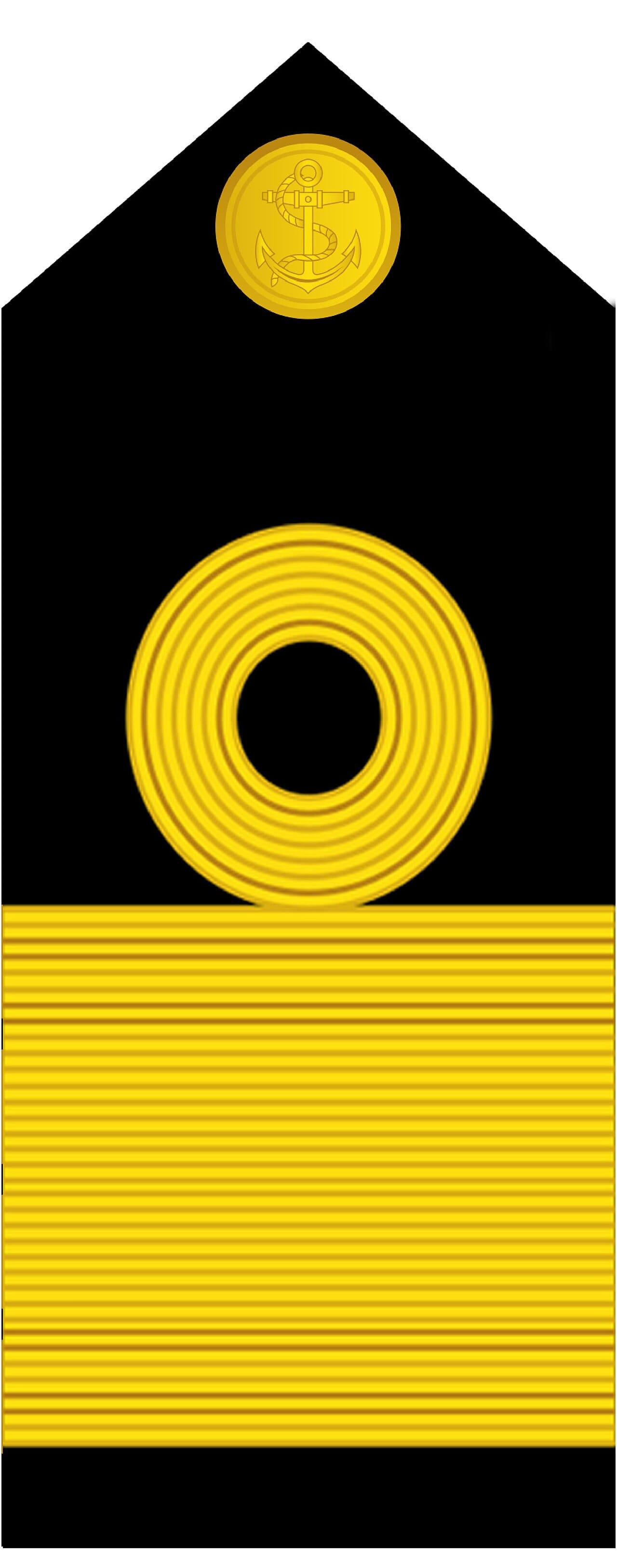 A commodore's shoulder board: a long stiffened strap, braid across its width, a device at the outer end.