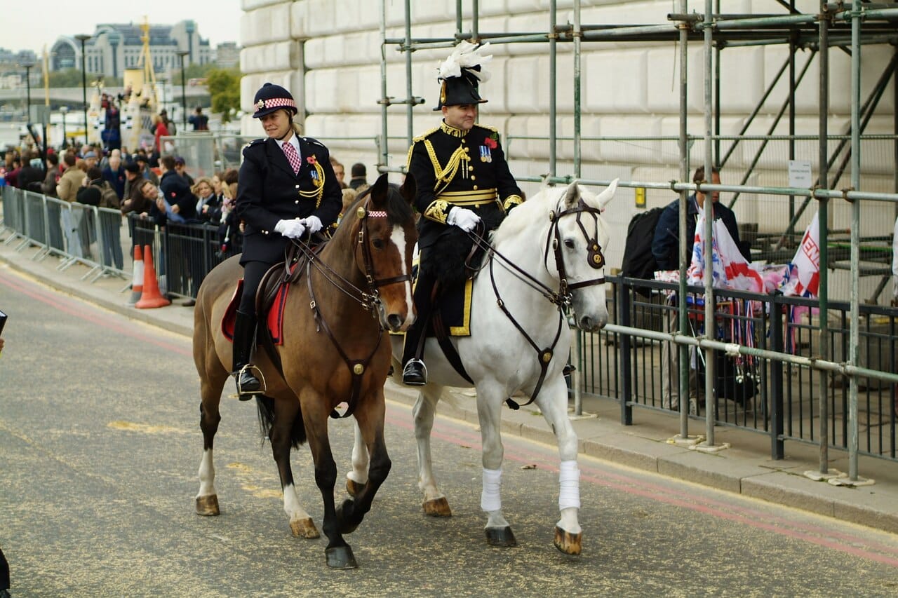 Assistant Commissioner City London Police