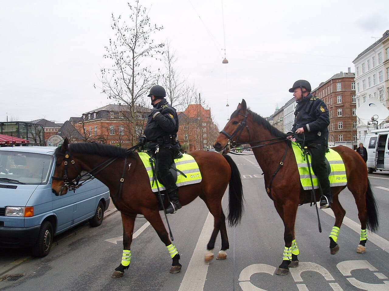Mounted police, riders and horses both in high-visibility.