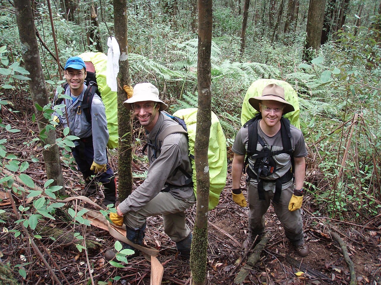 BSAR searchers at Mount Dom Dom P3260158