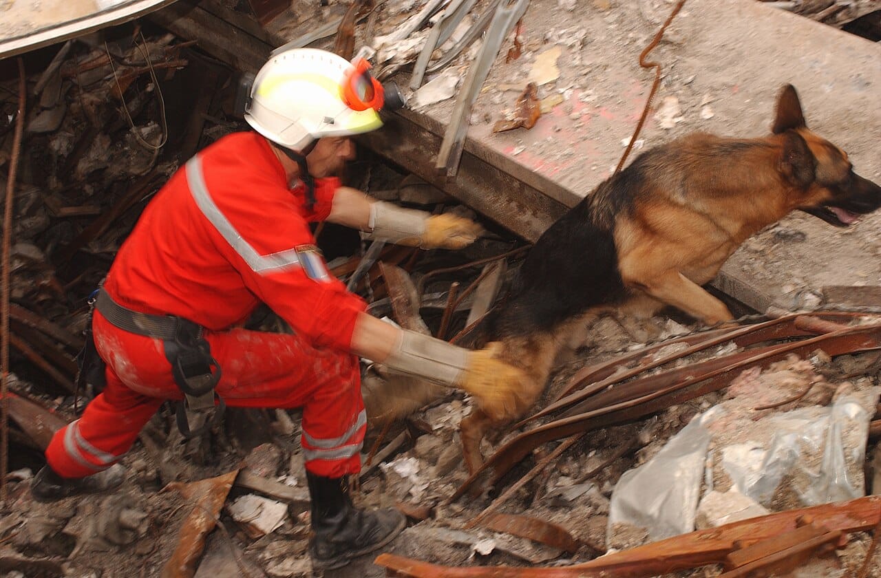 A French urban search and rescue team in red-orange coveralls.