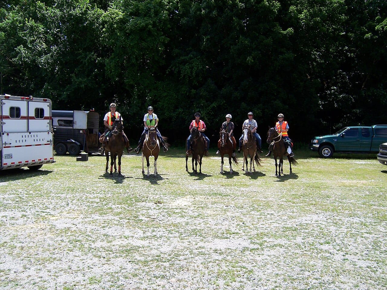 Mounted search and rescue training group